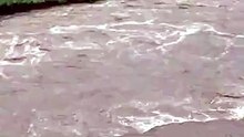 Goceano, situazione di massima allerta. Preoccupa Il fiume Tirso pericolosamente in piena. Video