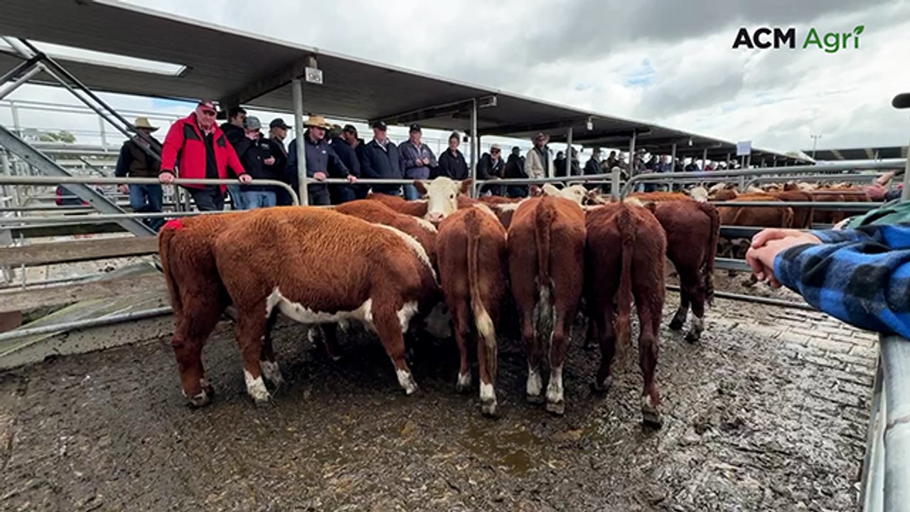 Mount Gambier April store sale