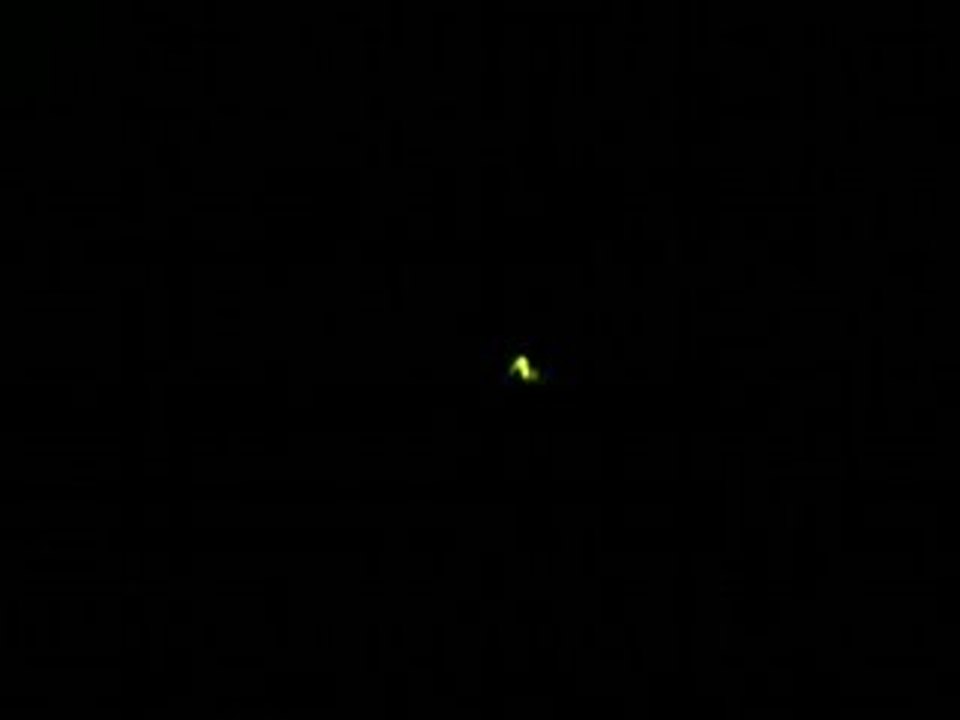 Glowfly　蛍