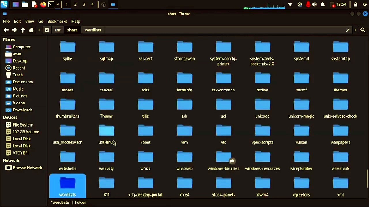 M AYAN SAJID - HOW TO EXTRACT ALL WORDLISTS IN...