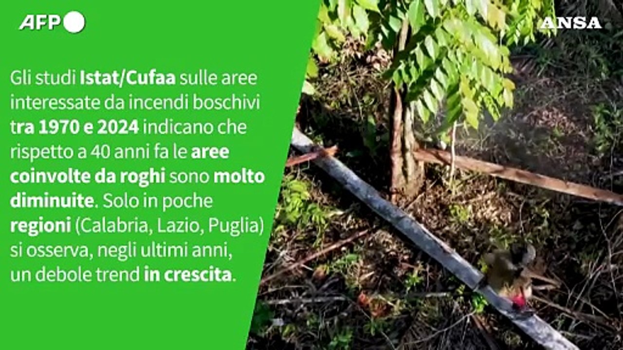 Ansa VERIFIED - E' vero che gli incendi boschivi in Italia stanno aumentando?