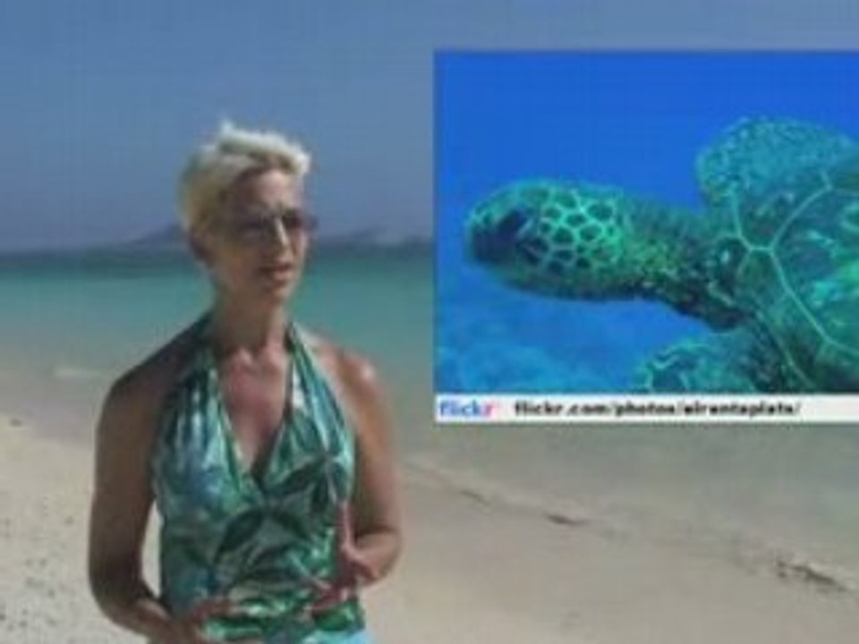 Beach Walk 645 - Underwater Myths