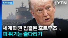 [자막뉴스] 호르무즈 놔줄 생각 없는 이란...트럼프의 예측 불가 계산법 / YTN