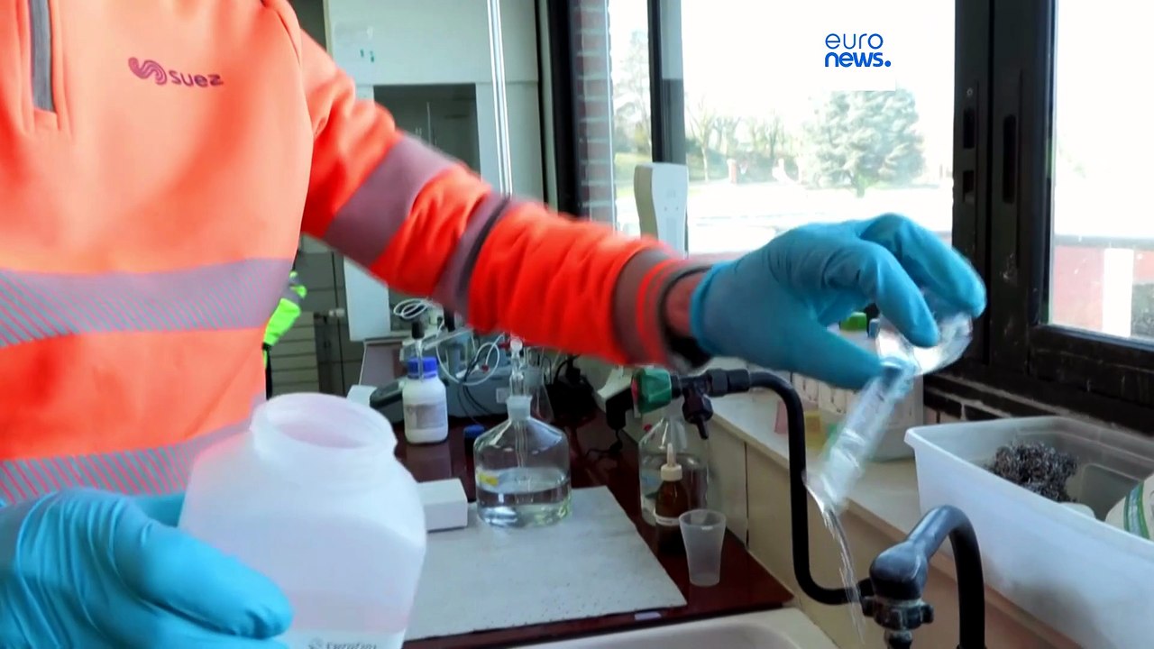 Des manchots transformés en « toxicologues » révèlent des polluants éternels en Patagonie