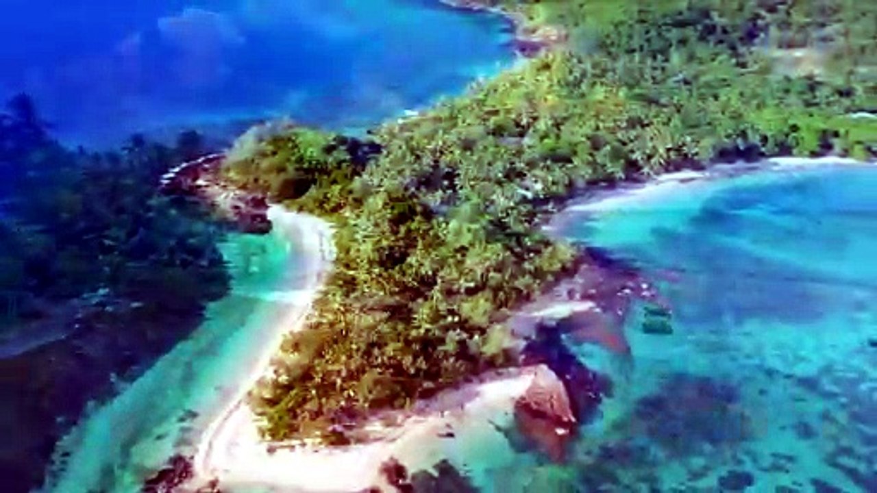 Evasion
