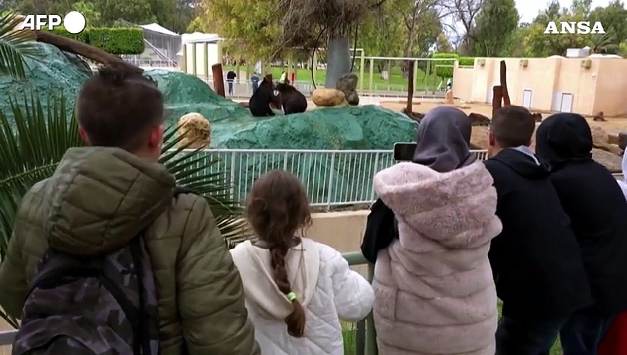 Libia, dopo 17 anni riapre lo zoo di Tripoli