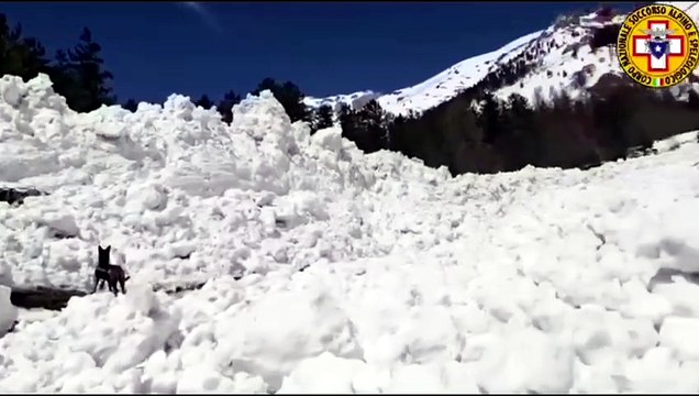 Image from field_mediaid