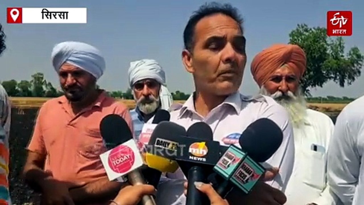 हरियाणा में तेज हवा ने बढ़ाई किसानों की परेशानी, यमुनानगर और सिरसा में जली सैकड़ों एकड़ गेहूं की फसल