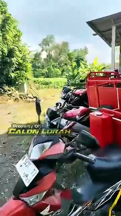 DIY 3 Wheel Cargo Trike from Motorcycle Engine  Full Build Process & Budget Project