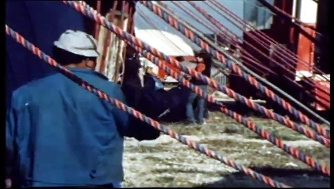 1972 - Johnny Hallyday - Rétrospective de son Année avec le Johnny Circus (Journal de 20h, 2ème Chaîne, 29 Décembre)