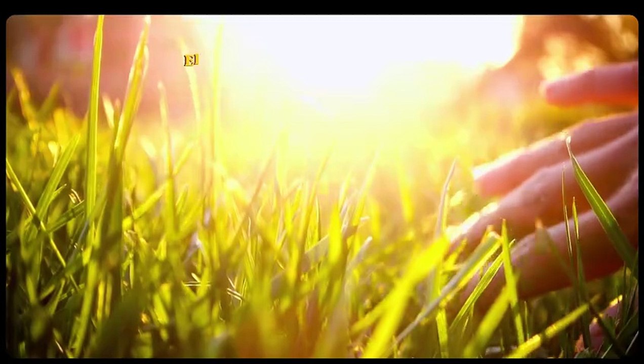 El sol