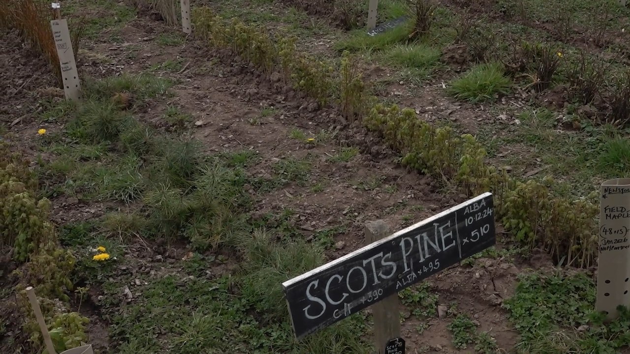 Urine from festivalgoers turned into fertiliser