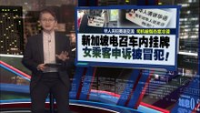 车后座挂“不对华人说英语”挂牌   引网热议！