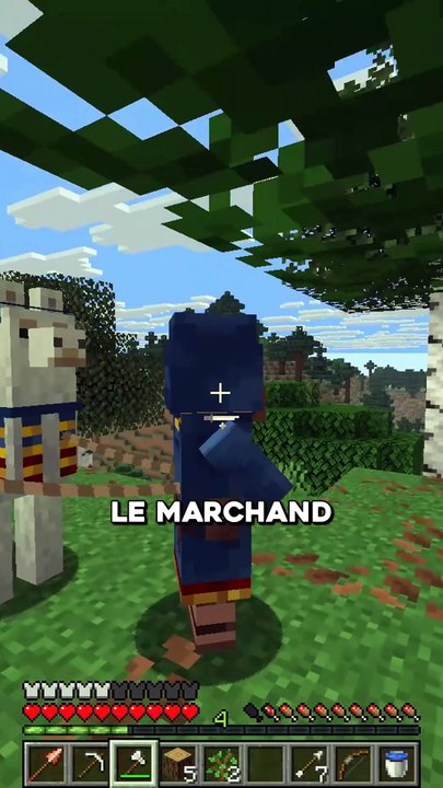 Quel MOB à la PIRE VIE ? 🤣