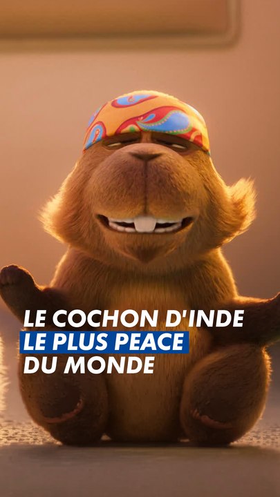 "C'est bon j'en ai assez de ta philosophie à la noix !" 🥜 😂