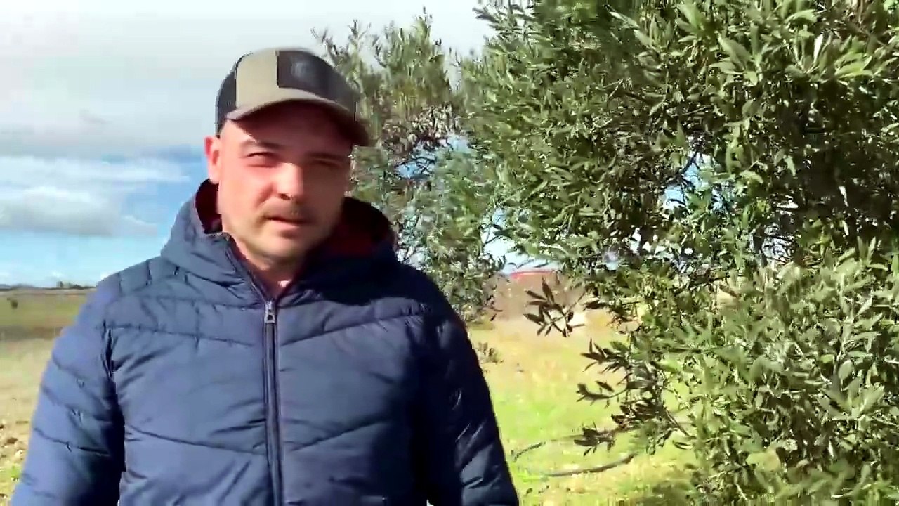 «Pale eoliche, la mia azienda potrebbe essere circondata»