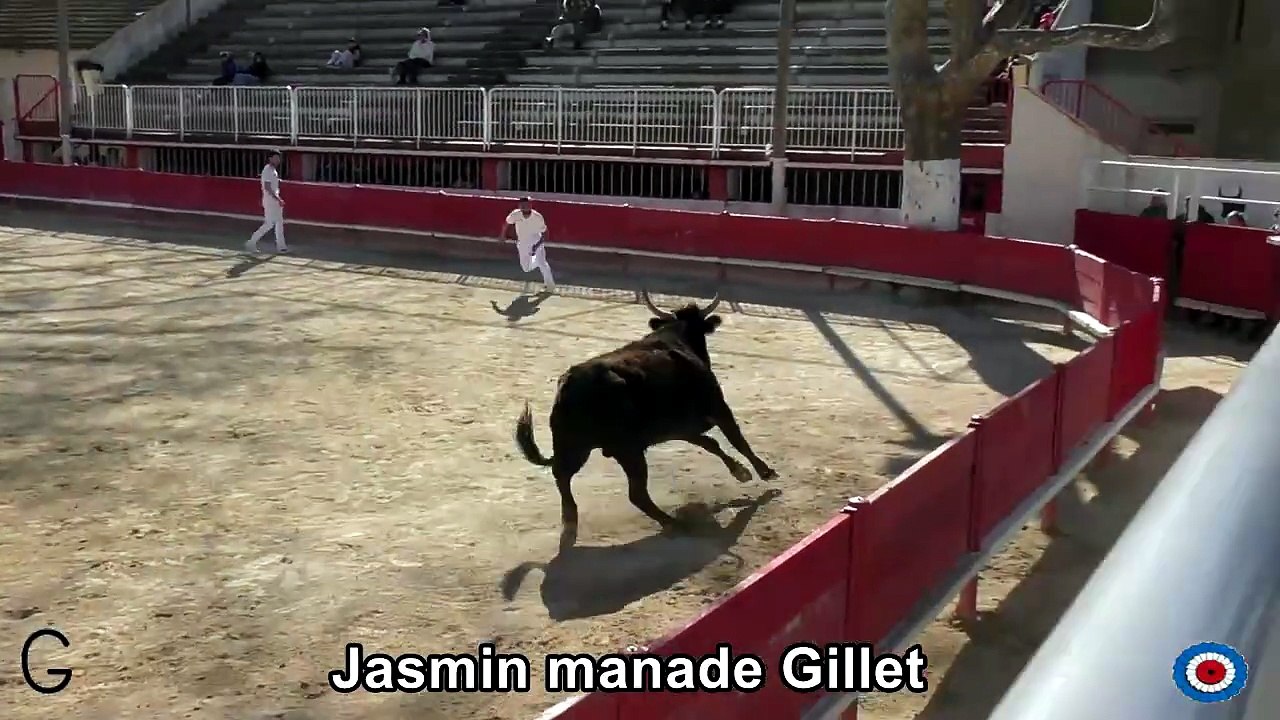 2026 03 29 Jasmin extrait