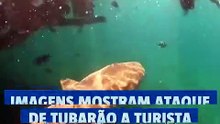 Turista é atacada por tubarão em Fernando de Noronha