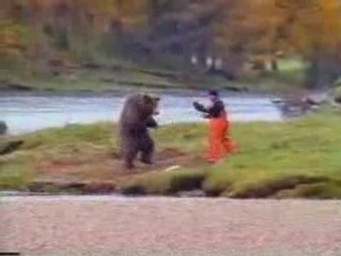 SALMON pub marrante ours saumon