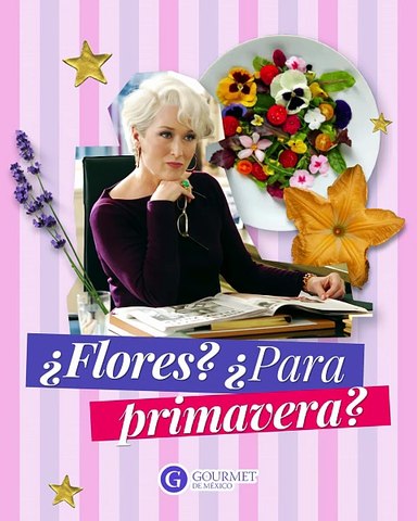 Flores comestibles en primavera