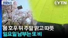 [날씨] 봄 호우 뒤 주말 따뜻...일요일엔 '이른 더위 속 남부 비' / YTN