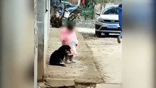 Il cane ha paura dei botti: la bimba lo protegge così