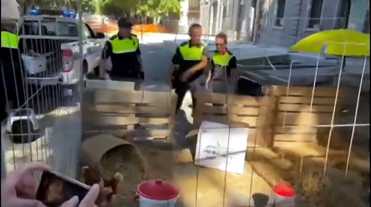 Cagliari, agenti della polizia locale costretti a catturare le galline di viale Trieste