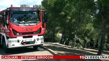 "C'è un boa nel parco di San Michele": mobilitazione, ma era solo una biscia