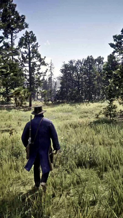 Arthur Said “Just a Quick Ride”… Ended Up in THIS Daylight Chaos 🤠☀️ #RDR2 #Shorts