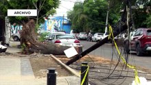 Burocracia de Tonalá provocó la muerte de un niño; árbol cayó sobre el menor: CEDHJ