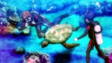Grand Blue Dreaming Episodio 1 | Grand Blue | Anime Completo Sub Español