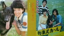 刑事犬カール　1977　走れ風のように　木之内みどり