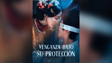 Venganza Bajo Su ProteccióN EspañOl