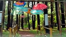 Air Terjun Timurung, Rahasia Kecil yang Ada di Kabupaten Gowa