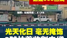 光天化日偷电缆太猖狂 网民调侃：乱丢垃圾还罚更重！