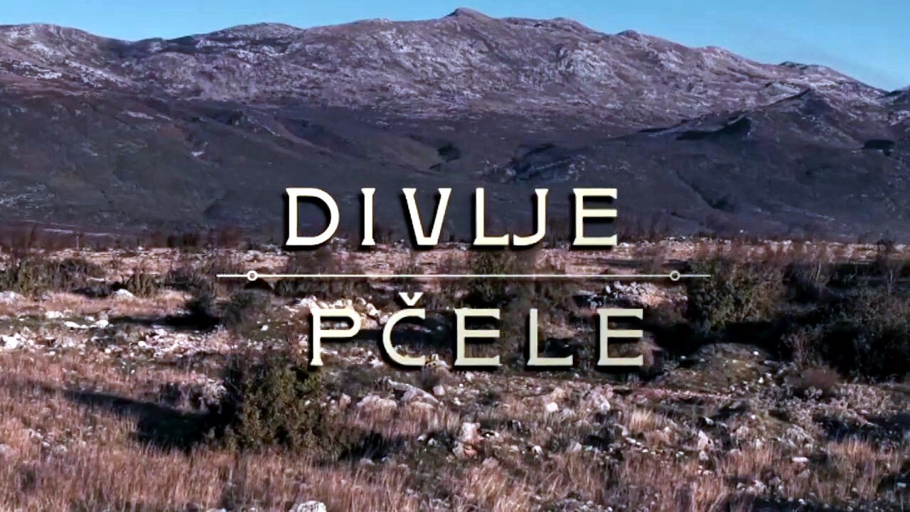 Divlje pčele 108 i 109 Epizoda.