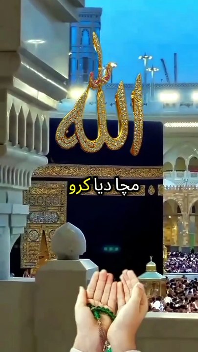SHOR MEVHA DATAY