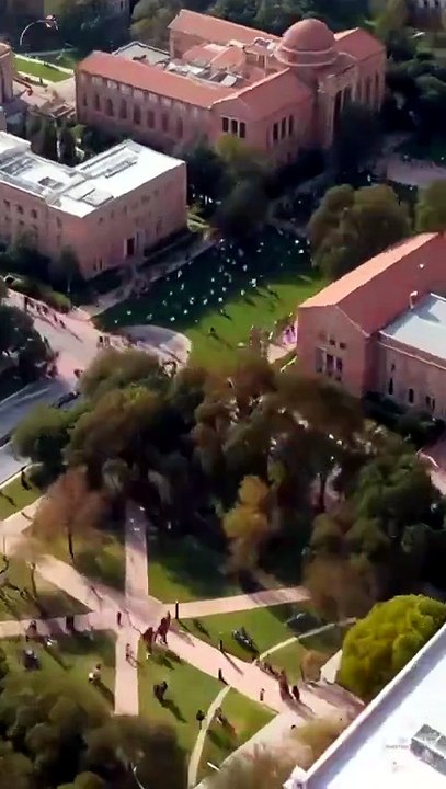 How To Seduce Your Professor [Full]