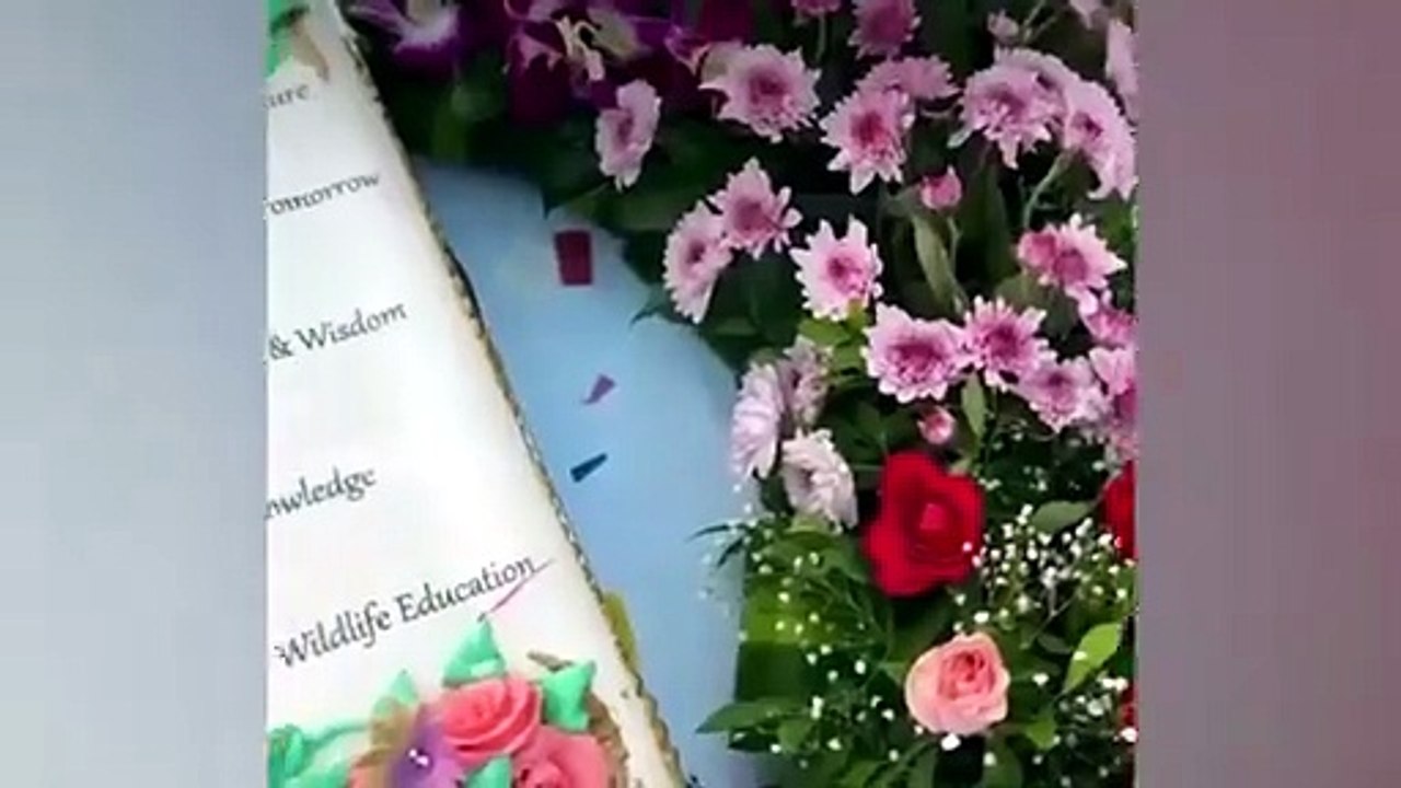 Anant Ambani Birthday Celebrations, Ranveer Singh & Janhvi Kapoor Participated