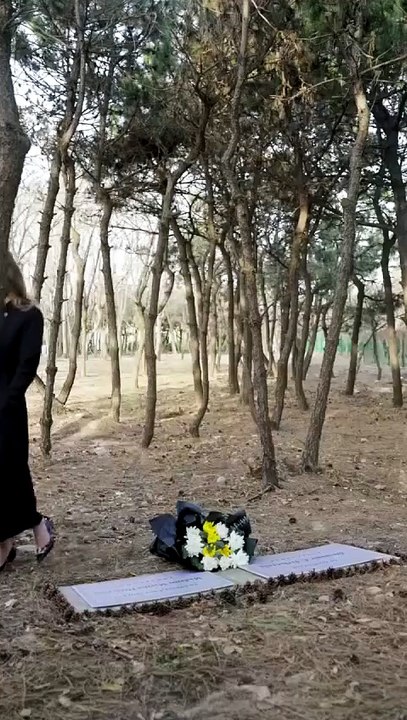 I Think My Wife Wants To Kill Me S2 - Video