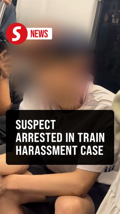Foreigner nabbed for alleged sexual harassment on train of Kelana Jaya LRT