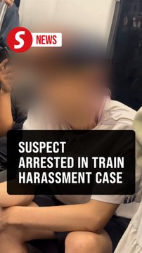 Foreigner nabbed for alleged sexual harassment on train of Kelana Jaya LRT