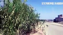 Sassari, Predda Niedda sommersa da rifiuti e erbacce. Situazione intollerabile. VIDEO