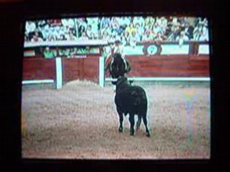 corrida a cheval