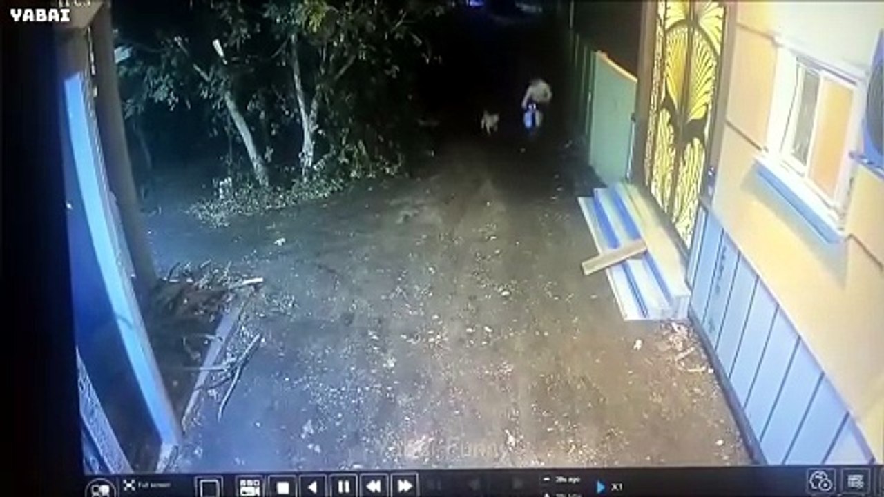 Try Not To Laugh 🤣 Top 100 Funniest Videos Ever 🎬🔥 Memes, Epic Fails & Pranks Compilation Part 11