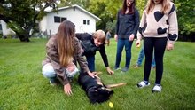Must Love Dogs - Season 1 Episode 9 - Do or Die