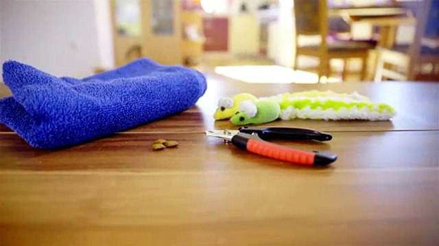 The Science Behind Tea Towel Holders (It’s Brilliant)