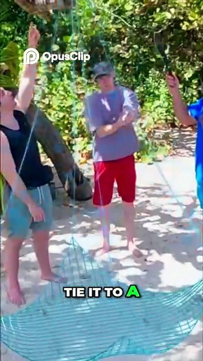 Boys Build Chicken Trap While I Was Sick!