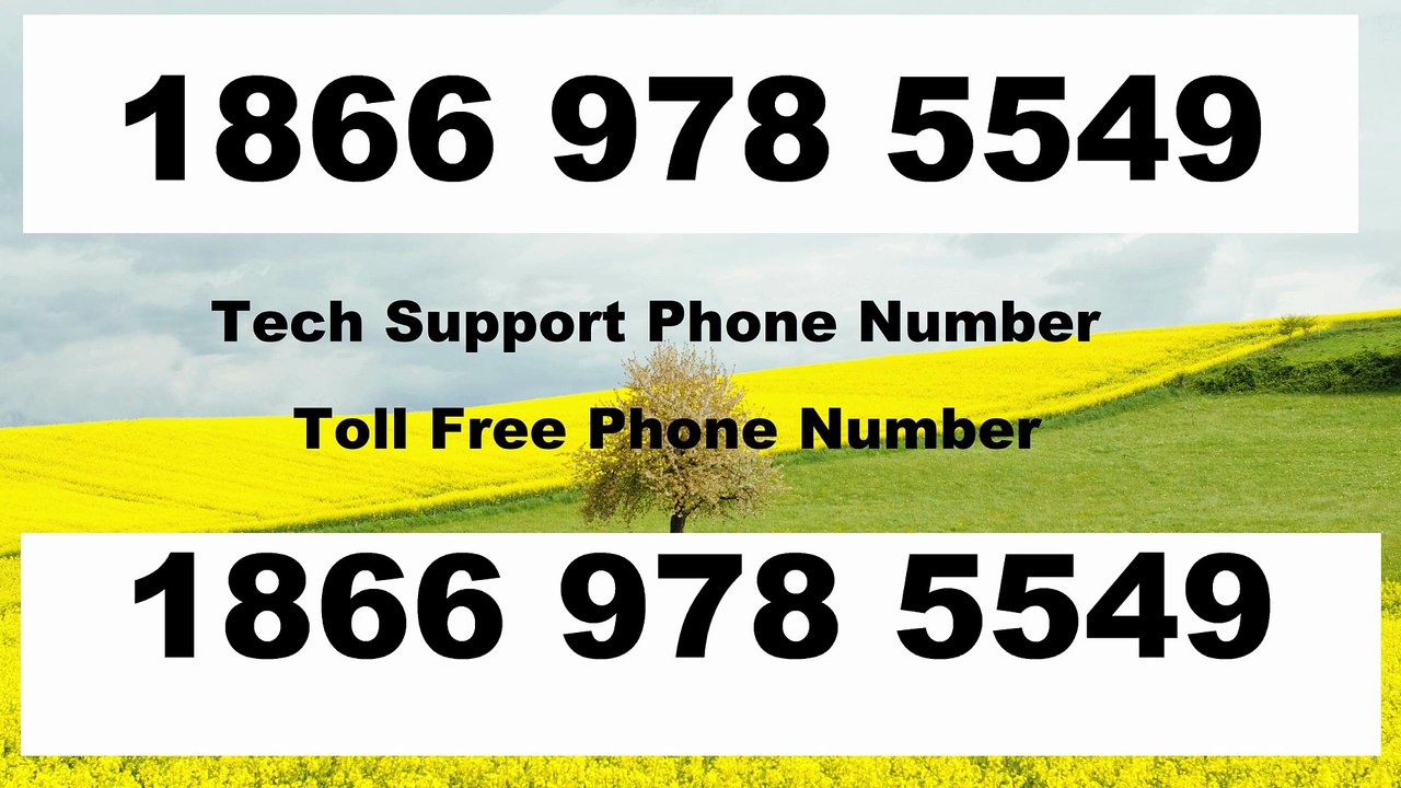 Q『PARAMOUNT PLUS®』 ® {Help Desk SuppoRt}™ — Toll-Free Numbers & Support Options
