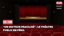 "Un secteur fragilisé" : le théâtre public en péril